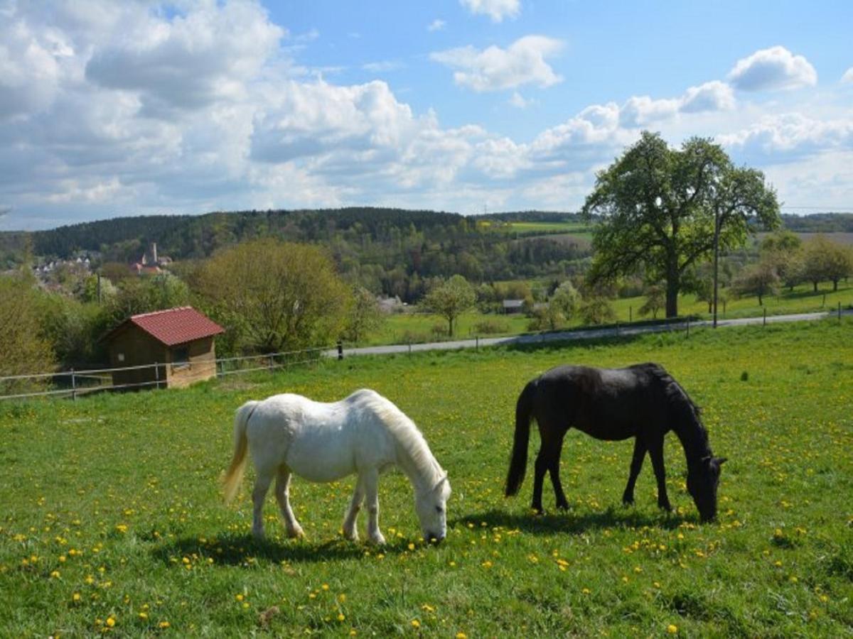 Ferienhof Pfeiffer Бухен Екстер'єр фото